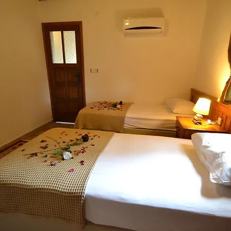 فيلة Villa Han *