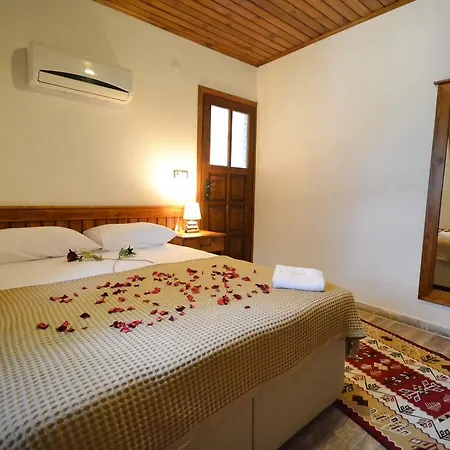 فيلة Villa Han كاياكوي